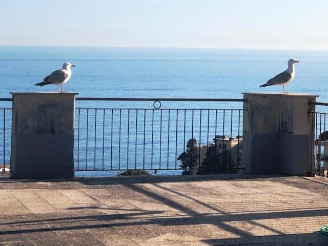 جنوة Romantic Garden Sea View Nervi المظهر الخارجي الصورة